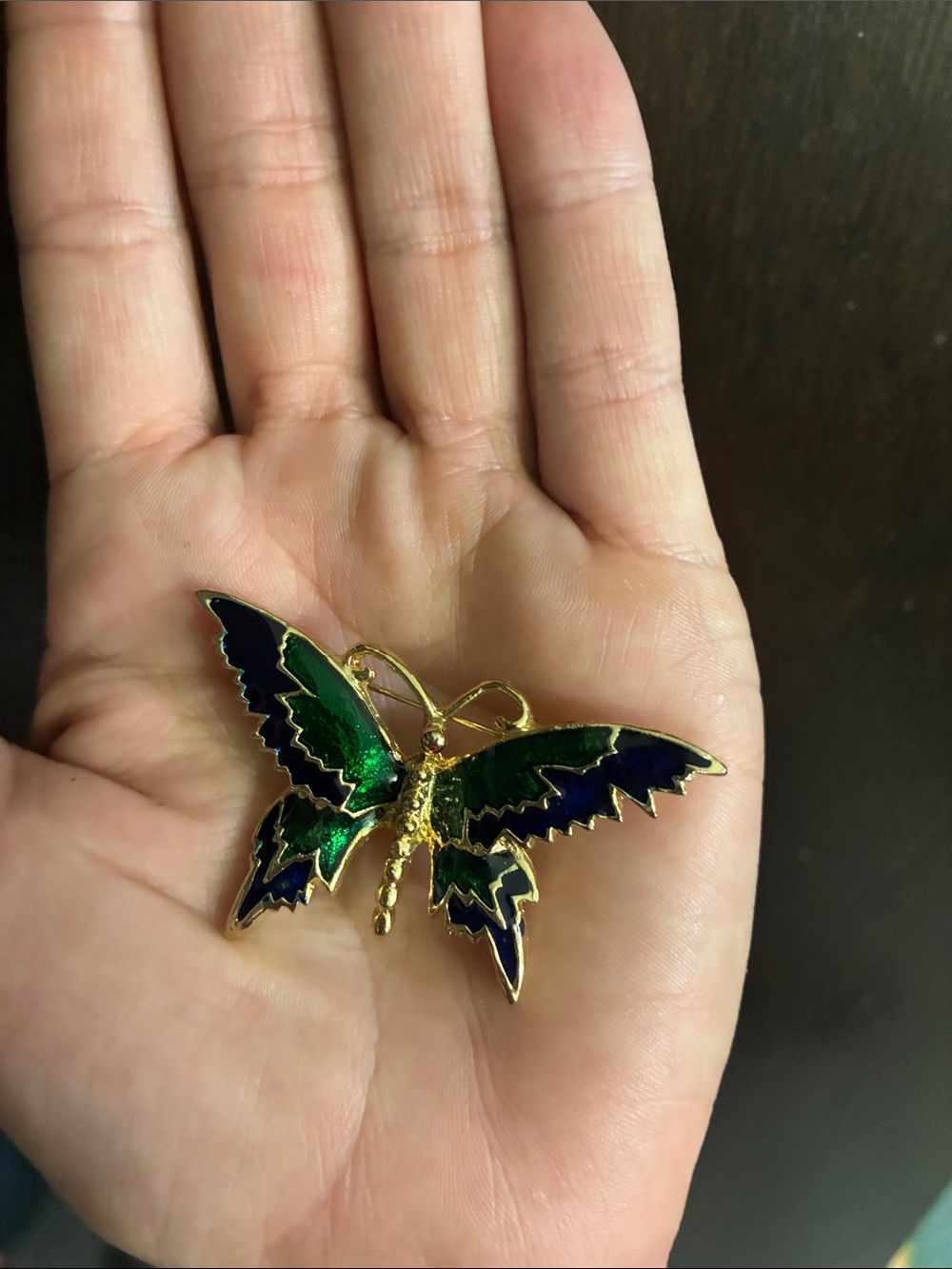Green blue butterfly pin